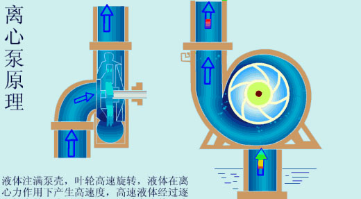 給（gei）水泵、給（ji）水泵別再傻傻分不清楚（內(nèi)含動(dòng)畫）