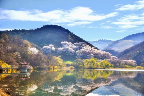2024廣東泵閥展燃動(dòng)華南- 2024廣東泵閥展燃動(dòng)華南-